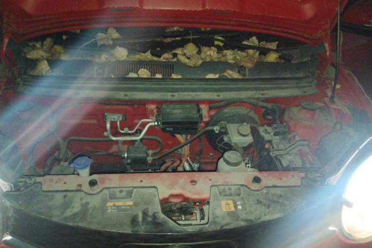 Used Brilliance Xinri i03 2021 410 km 38.54 kWh Engine Bay
