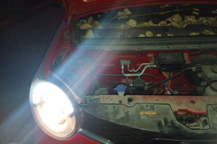 Used Brilliance Xinri i03 2021 410 km 38.54 kWh Engine Bay Right