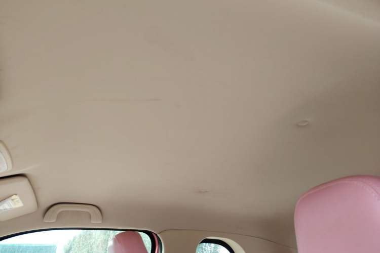 Used Brilliance Xinri i03 2021 318 km 31.45 kWh Headliner