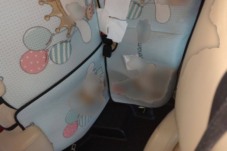 Used Brilliance Xinri i03 2021 410 km 38.54 kWh Left Rear Seat