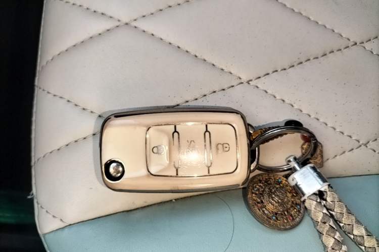 Used Brilliance Xinri i03A 2021 318 km 31.45 kWh Vehicle Key