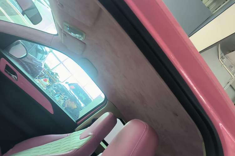 Used Brilliance Xinri i03A 2021 318 km 31.45 kWh Headliner