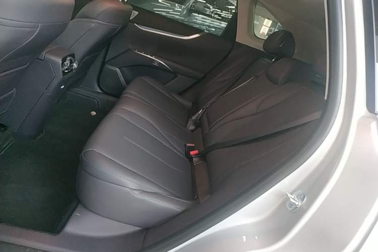 Used Buick Zijing E7 2026 Model, 1600 Full-Option Version Left Rear Seat