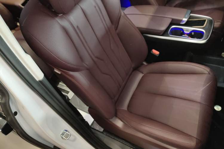 Used Buick Century 2023 2.0T Six-Seater Yinshi Edition Right Front Seat