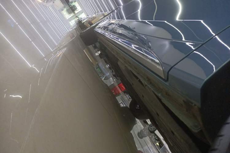 Used Buick Century 2023 2.0T Seven-Seater Yinshi Edition Left Side Sill