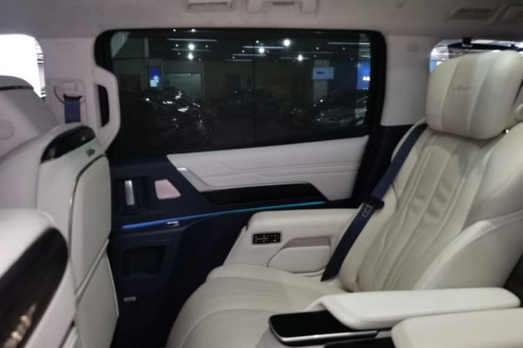 Used Buick Century 2023 2.0T Six-Seater Yinshi Edition Right Rear Door Interior