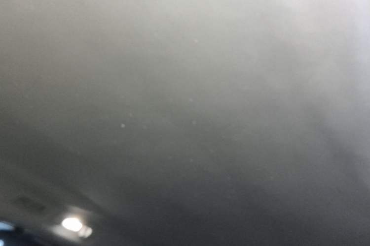 Used Buick Century 2023 2.0T Four-Seat Private Edition Headliner