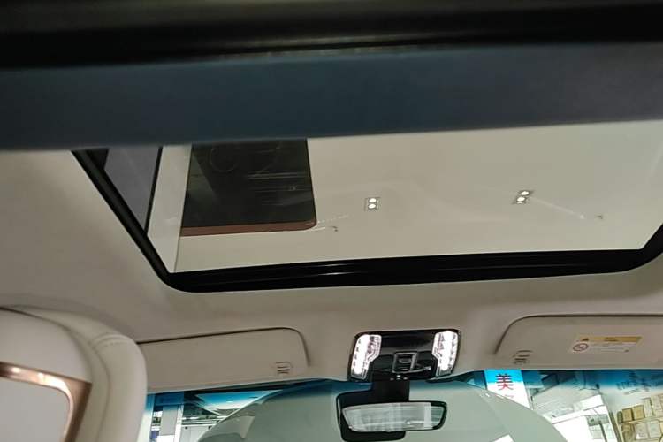 Used Buick Century 2023 2.0T Four-Seat Private Edition Headliner