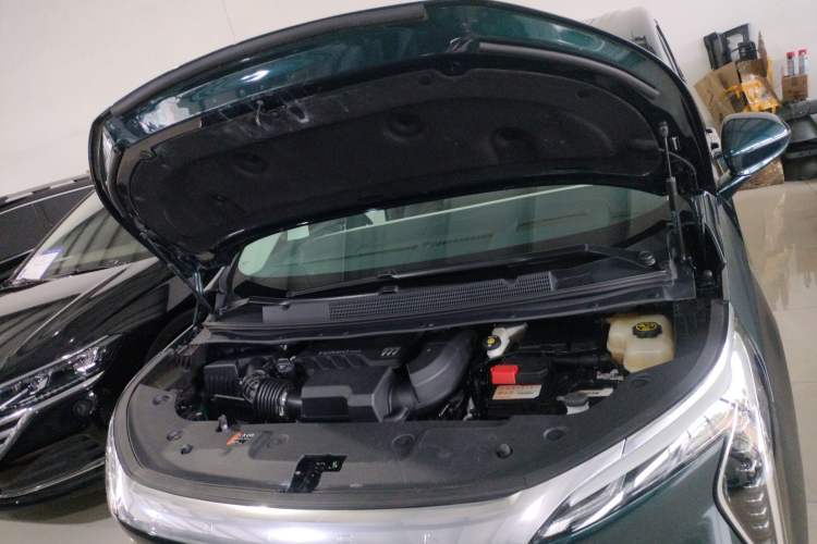 Used Buick Century 2023 2.0T Four-Seat Private Edition Engine Bay