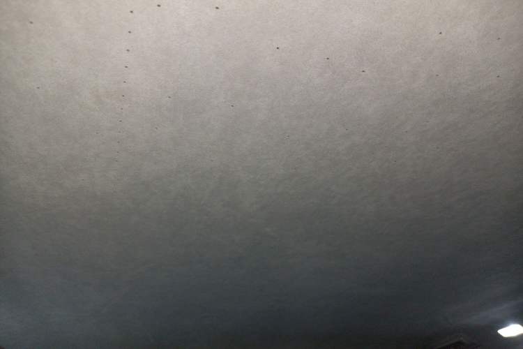 Used Buick Century 2023 2.0T Four-Seat Private Edition Headliner