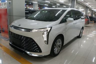 Used Buick Century 2023 2.0T Six-Seater Yinshi Edition