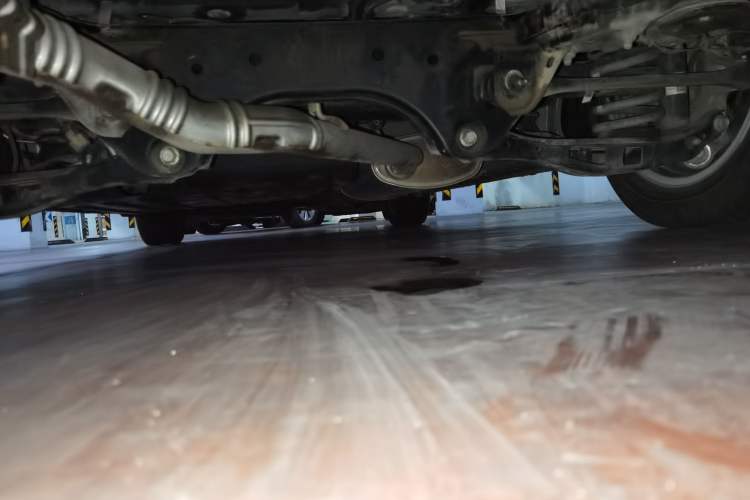 Used Buick Century 2023 2.0T Seven-Seater Deluxe Edition Chassis Rear