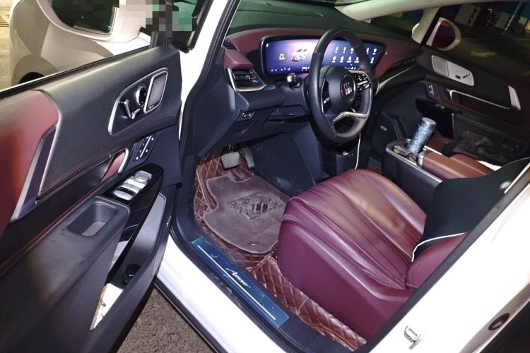 Used Buick Century 2023 2.0T Seven-Seater Yinshi Edition Driver Seat