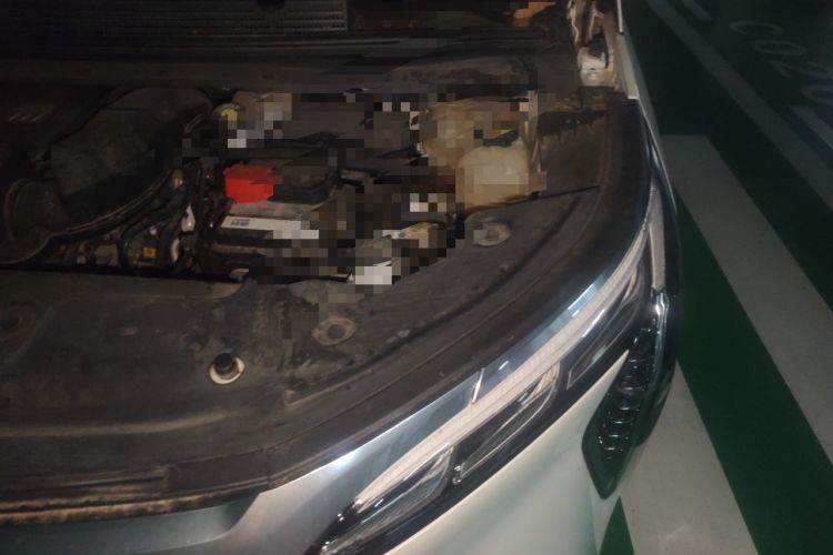 Used Buick Century 2023 2.0T Six-Seater Yinshi Edition Engine Bay Left