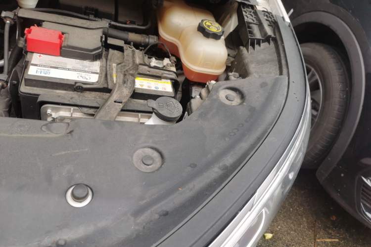 Used Buick Century 2023 2.0T Seven-Seater Deluxe Edition Engine Bay Left