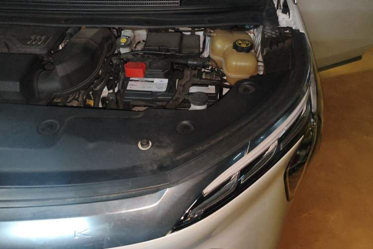 Used Buick Century 2023 2.0T Four-Seat Private Edition Engine Bay Left