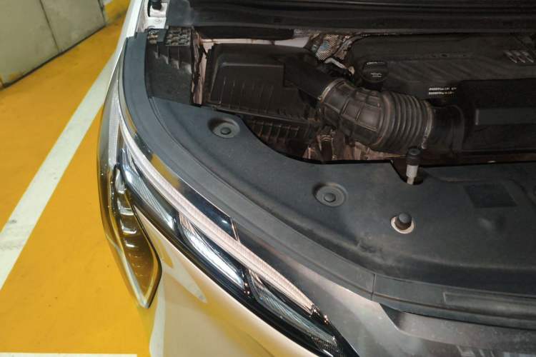 Used Buick Century 2023 2.0T Four-Seat Private Edition Engine Bay Right