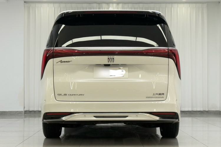 Used Buick Century 2023 2.0T Four-Seat Private Edition Exterior 6