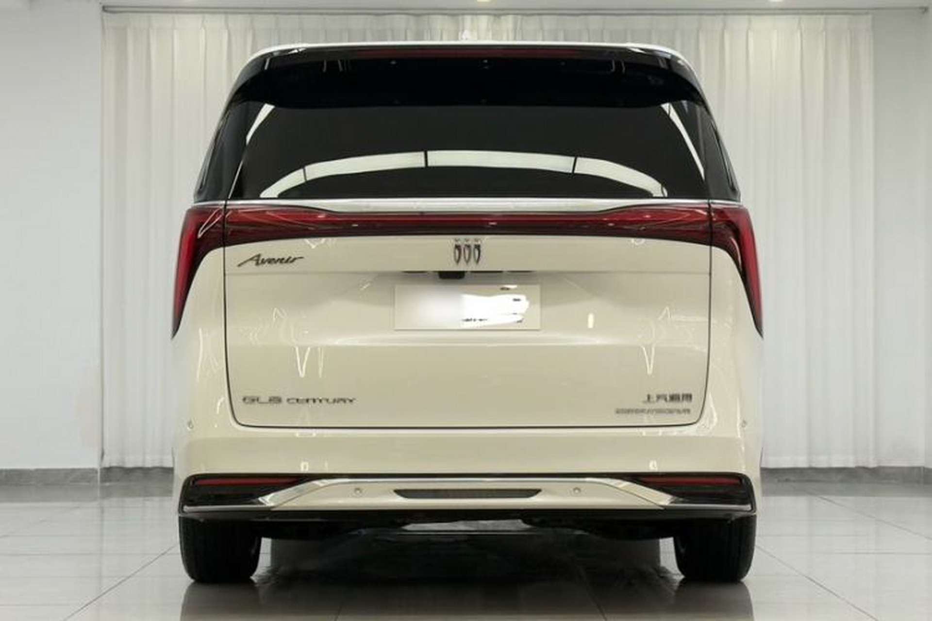 Used Buick Century 2023 2.0T Four-Seat Private Edition Exterior 6
