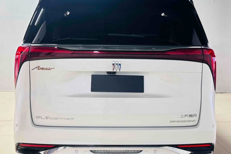Used Buick Century 2023 2.0T Four-Seat Private Edition Exterior 9