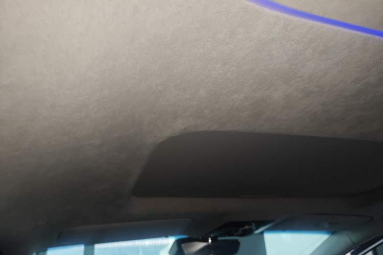 Used Buick Century 2023 2.0T Seven-Seater Yinshi Edition Headliner