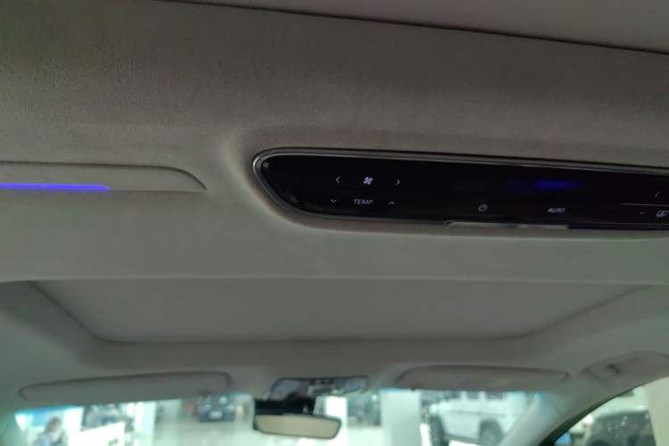 Used Buick Century 2023 2.0T Six-Seater Yinshi Edition Headliner