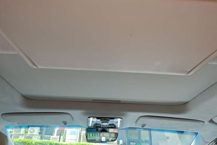 Used Buick Century 2023 2.0T Seven-Seater Yinshi Edition Headliner