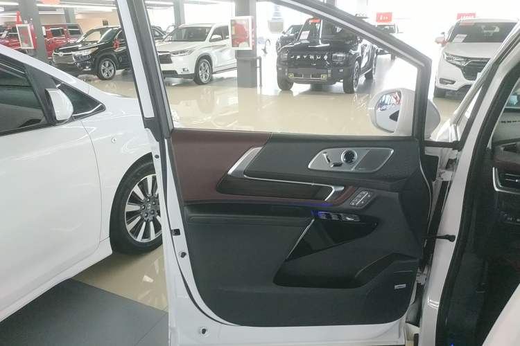 Used Buick Century 2023 2.0T Six-Seater Yinshi Edition Left Front Door Interior