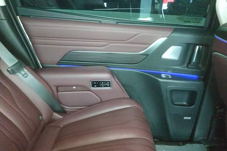 Used Buick Century 2023 2.0T Six-Seater Yinshi Edition Left Rear Door Interior
