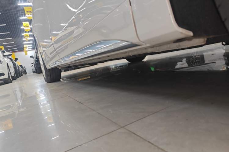 Used Buick Century 2023 2.0T Seven-Seater Yinshi Edition Left Side Sill