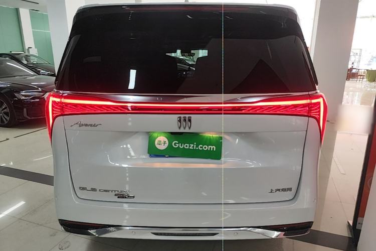 Used Buick Century 2023 2.0T Six-Seater Yinshi Edition Rear