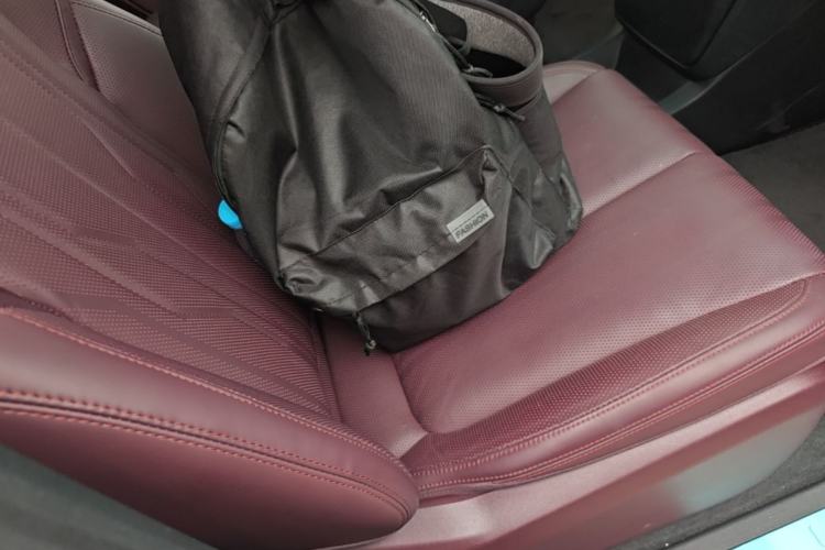 Used Buick Century 2023 2.0T Seven-Seater Yinshi Edition Right Front Seat