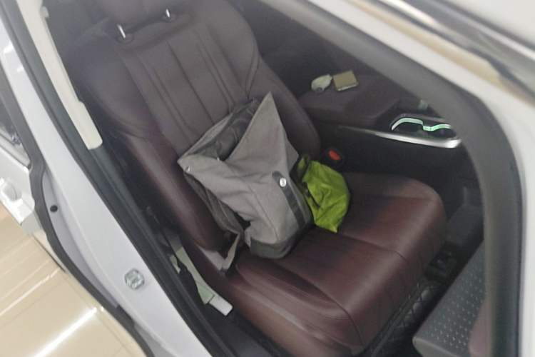 Used Buick Century 2023 2.0T Six-Seater Yinshi Edition Right Front Seat