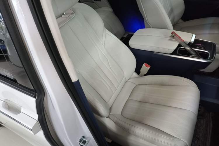 Used Buick Century 2023 2.0T Seven-Seater Yinshi Edition Right Front Seat