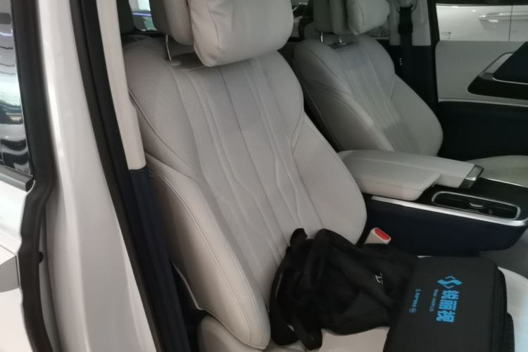 Used Buick Century 2023 2.0T Six-Seater Yinshi Edition Right Front Seat