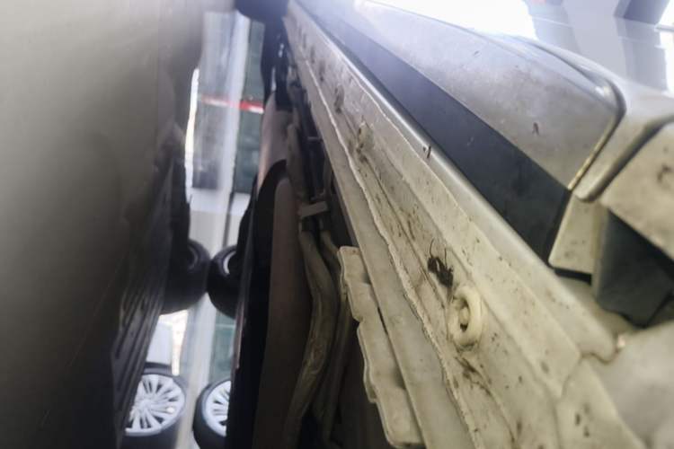 Used Buick Century 2023 2.0T Six-Seater Yinshi Edition Right Side Sill