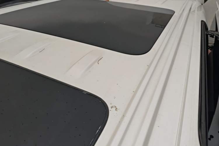 Used Buick Century 2023 2.0T Seven-Seater Yinshi Edition Roof