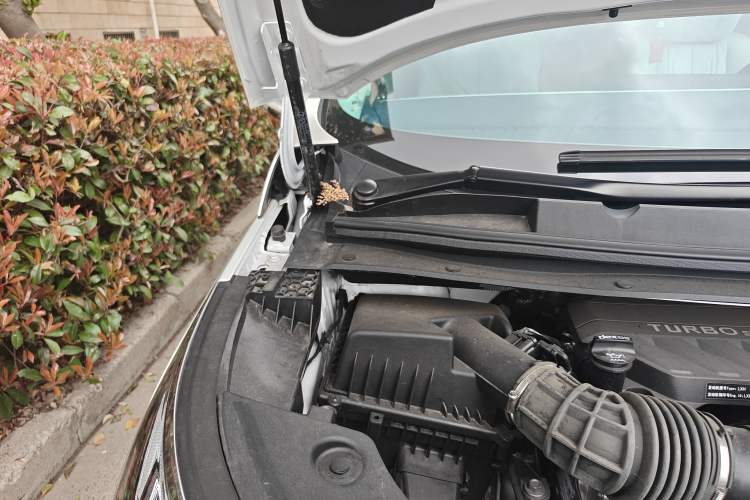 Used Buick Century 2025 2.0T Seven-Seater Yinshi Edition Engine Bay Right
