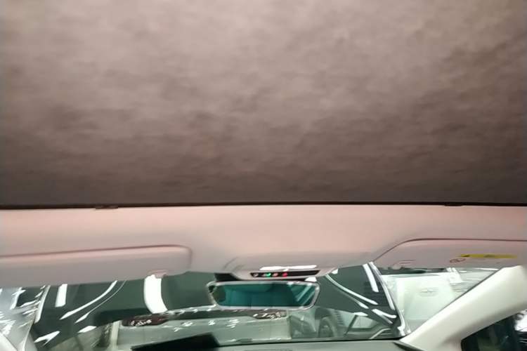 Used Buick E4 2023 Deluxe Edition Headliner