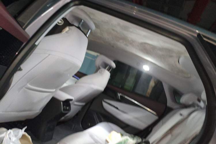 Used Buick E4 2023 Deluxe Edition Headliner