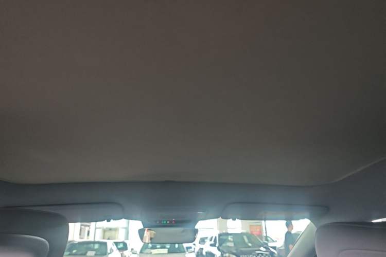 Used Buick E4 2023 Deluxe Edition Headliner