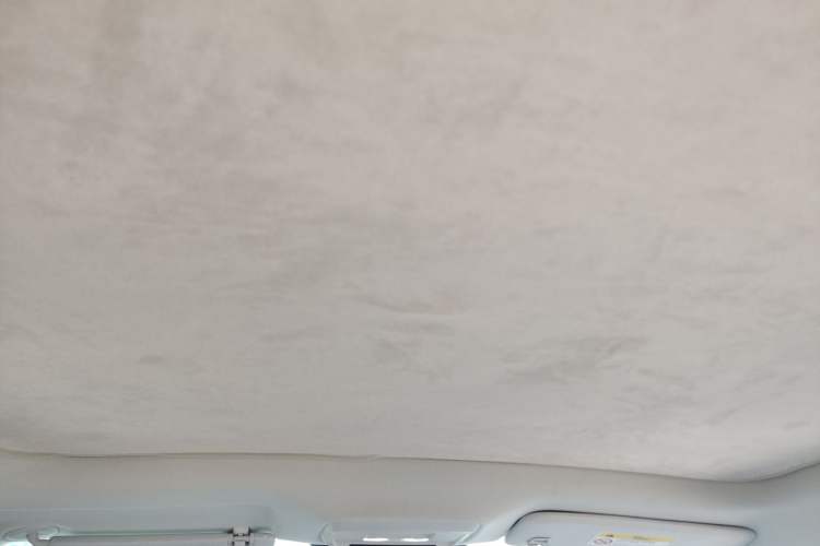 Used Buick E4 2023 Deluxe Edition Headliner