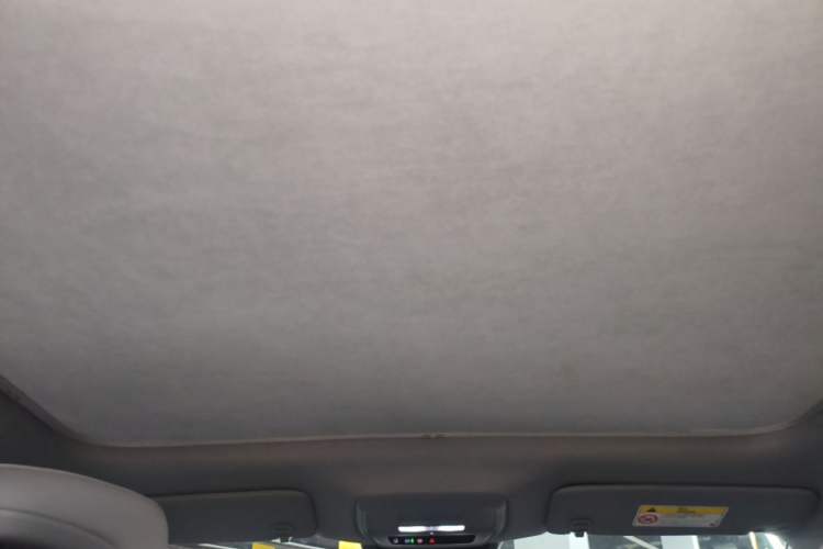 Used Buick E4 2023 Deluxe Edition Headliner