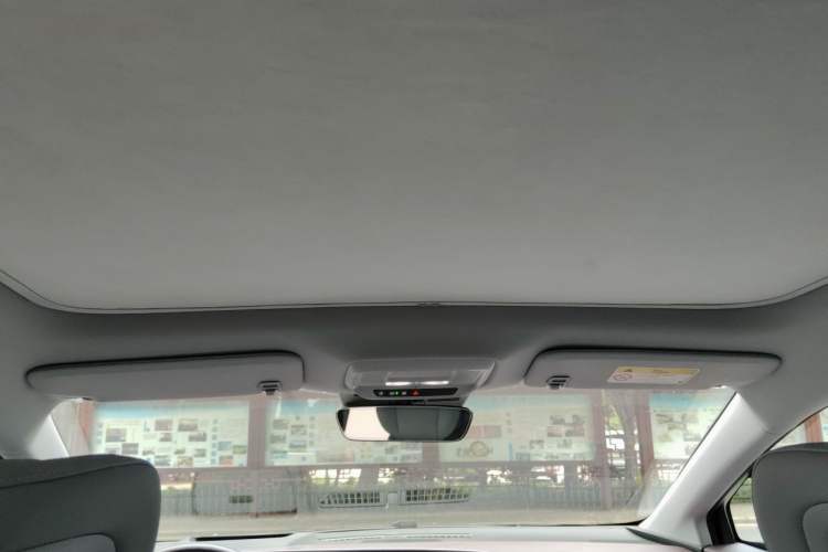 Used Buick E4 2023 Deluxe Edition Headliner
