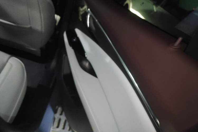 Used Buick E4 2023 Deluxe Edition Right Rear Door Interior