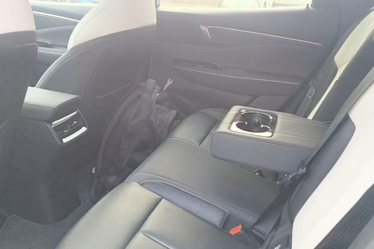 Used Buick E4 2023 GS Edition Left Rear Seat