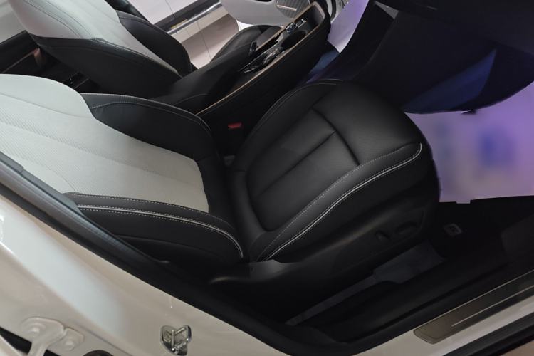 Used Buick E4 2023 GS Edition Interior 4