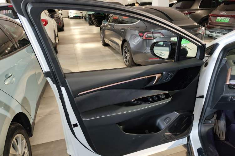 Used Buick E4 2023 GS Edition Left Front Door Interior