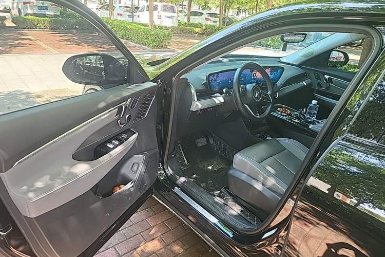 Used Buick E5 2023 Zhenxiang Standard Range Edition Driver Seat