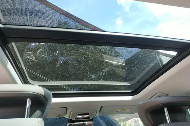 Used Buick E5 2023 Zhenxiang Standard Range Edition Headliner